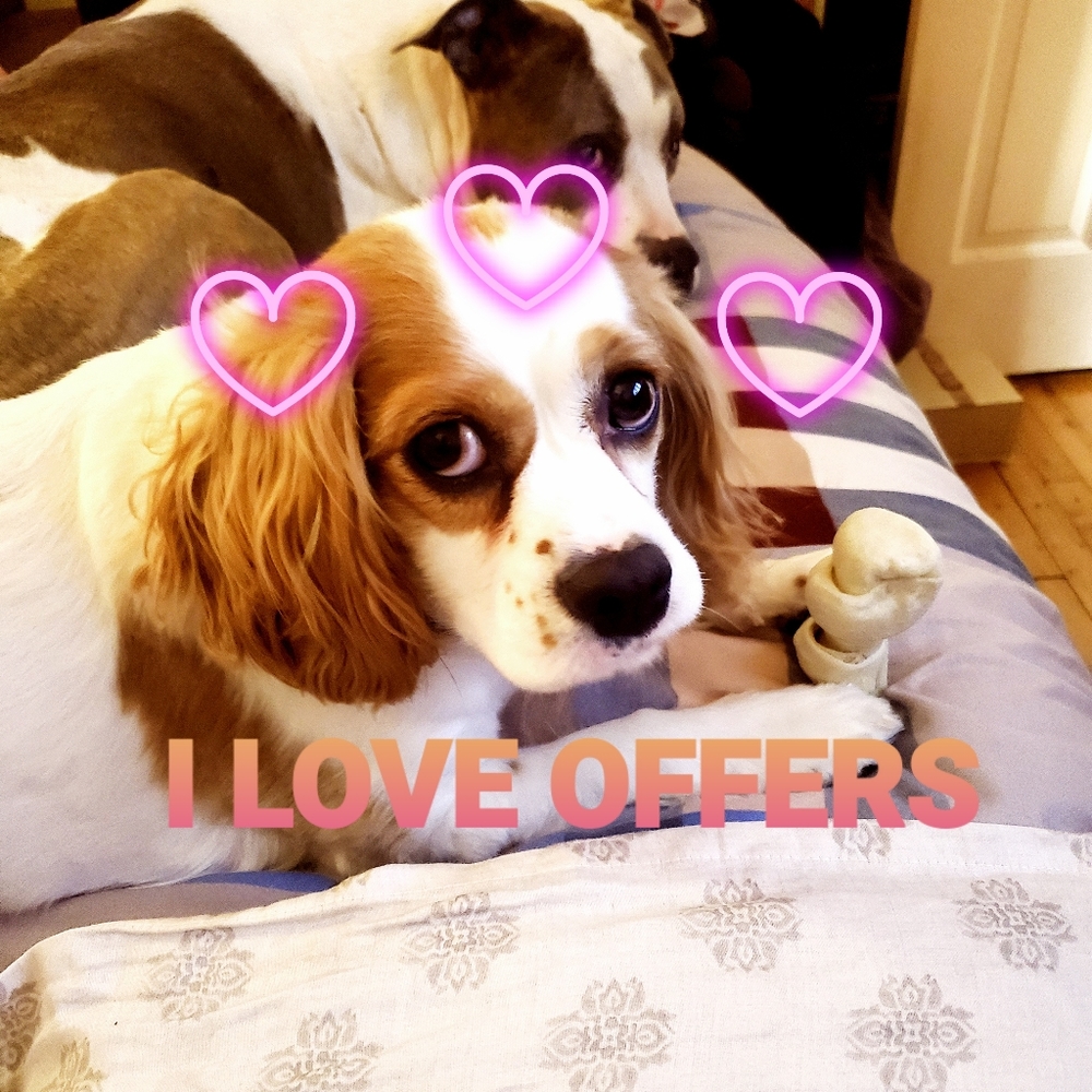 Did you say offer????